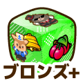 ブロンズプラス