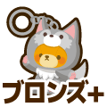 ブロンズプラス
