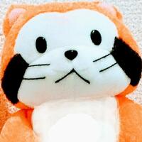 舌 が ピリピリ する タバコを吸うと舌が痛い 舌焼け 治し方はある Amp Petmd Com