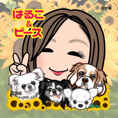 はるこ＆ヒྀིース🌻🍚 のユーザーアイコン