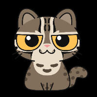 イッシーのプロフィール