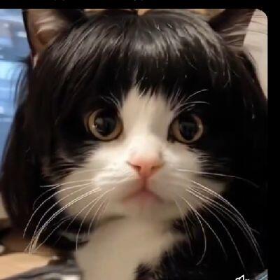 𝓡𝓲𝓽𝓪 のユーザーアイコン