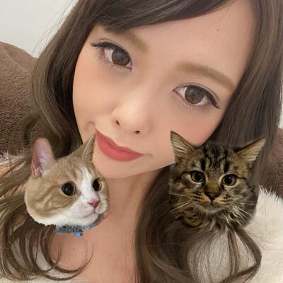 みいnya♡𝑳.‌𝓜🐈🐈‍⬛🐾のプロフィール