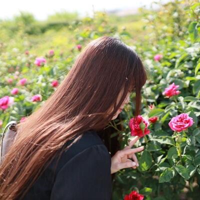 愛梨🎹🧚‍♂️ のユーザーアイコン