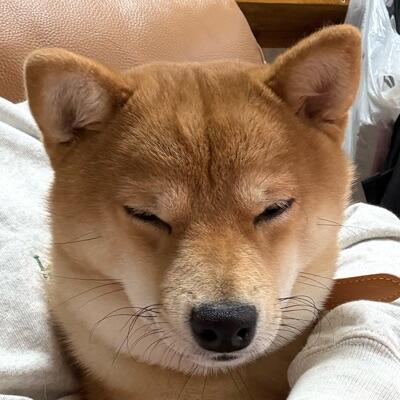 ザッキーのプロフィール